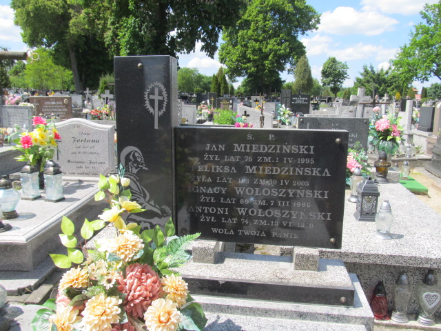 Jan Miedziński Brzeziny - Grobonet - Wyszukiwarka osób pochowanych