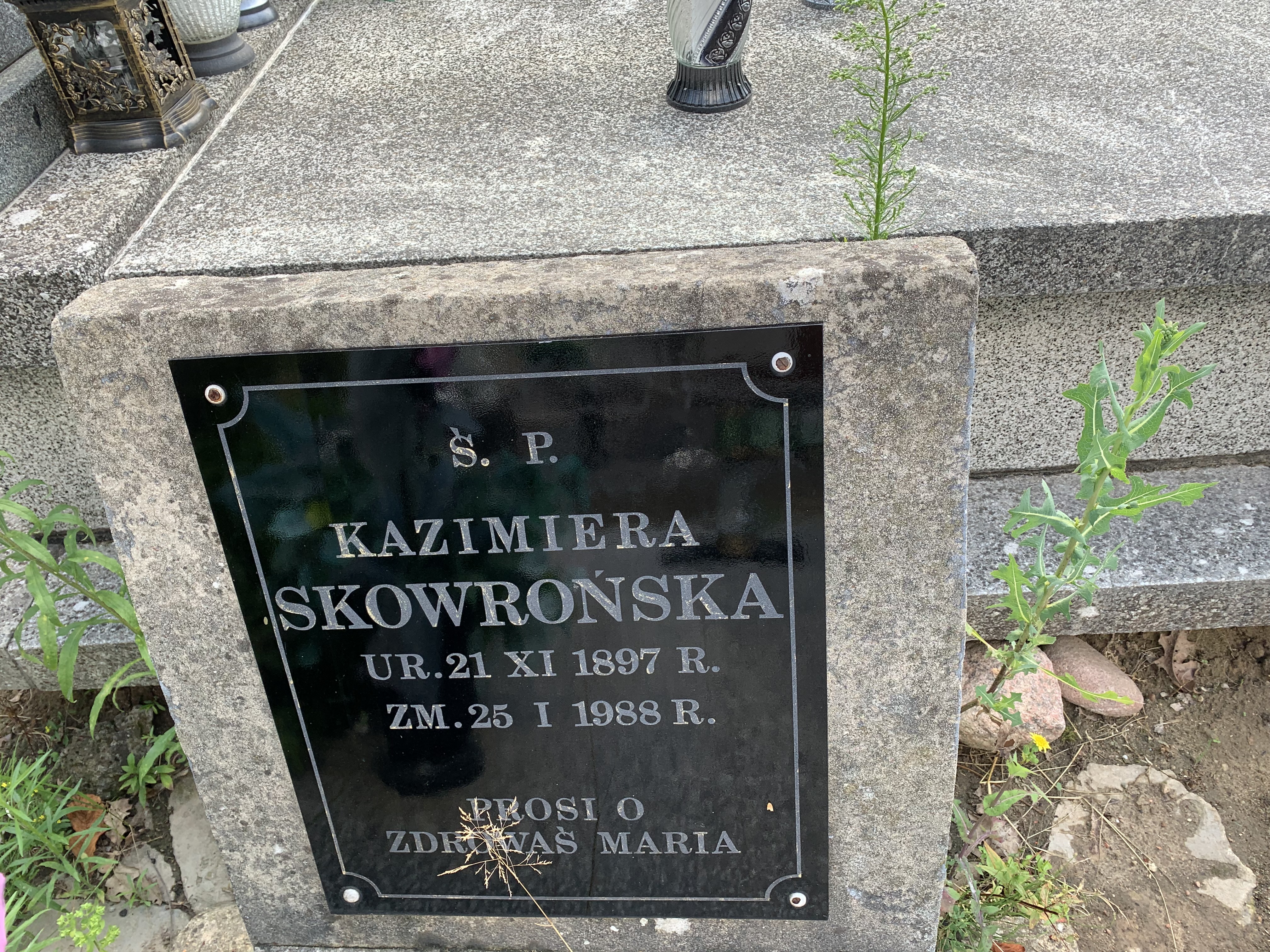 Kazimiera Skowrońska 1897 Brzeziny - Grobonet - Wyszukiwarka osób pochowanych