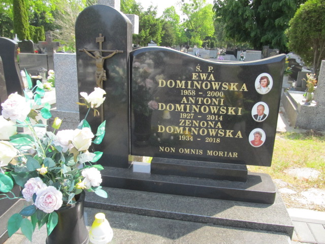 Zenona Dominowska 1934 Brzeziny - Grobonet - Wyszukiwarka osób pochowanych