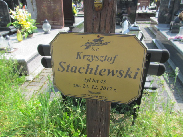 Krzysztof Stachlewski 1972 Brzeziny - Grobonet - Wyszukiwarka osób pochowanych