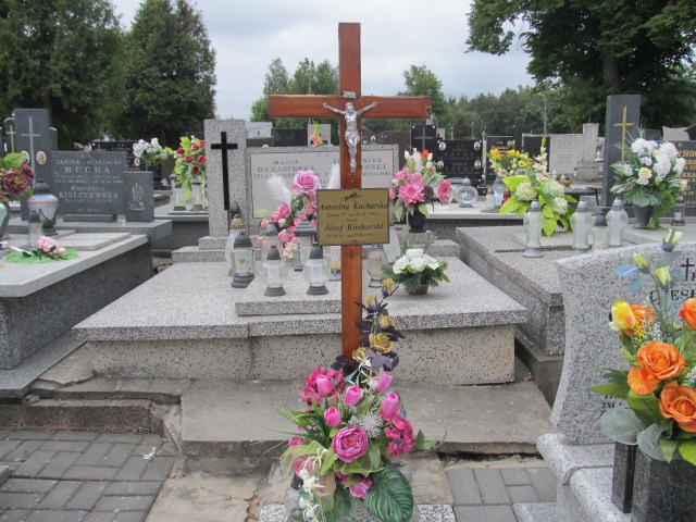 Antonina Kucharska Brzeziny - Grobonet - Wyszukiwarka osób pochowanych