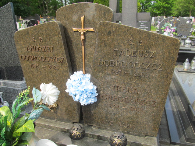 Andrzej Dobrogoszcz 1953 Brzeziny - Grobonet - Wyszukiwarka osób pochowanych