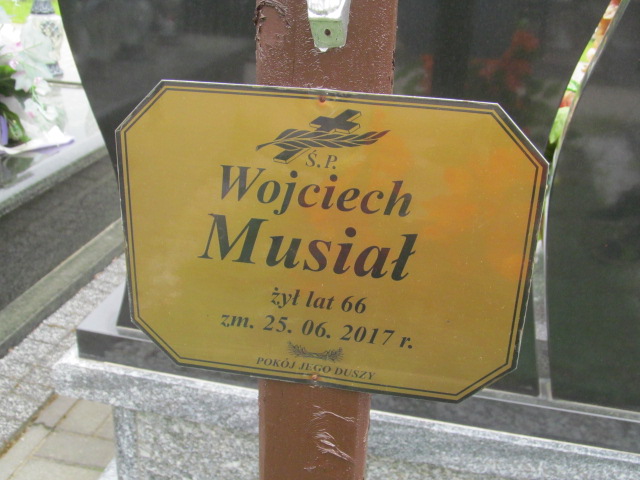 Wojciech, Wincenty Musiał 1951 Brzeziny - Grobonet - Wyszukiwarka osób pochowanych