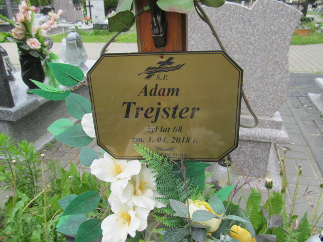 Adam Trejster 1949 Brzeziny - Grobonet - Wyszukiwarka osób pochowanych