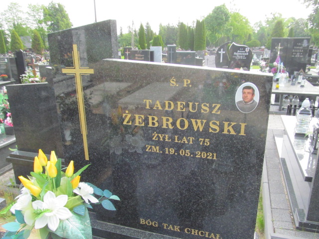 Tadeusz Żebrowski 1946 Brzeziny - Grobonet - Wyszukiwarka osób pochowanych