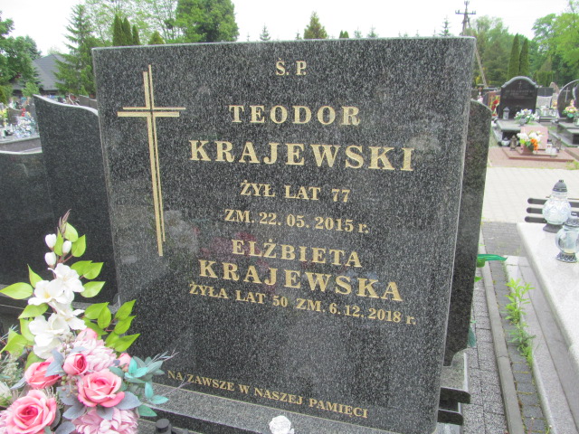 Grób Teodor Krajewski