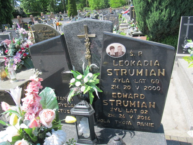 Edward Strumian 1922 Brzeziny - Grobonet - Wyszukiwarka osób pochowanych