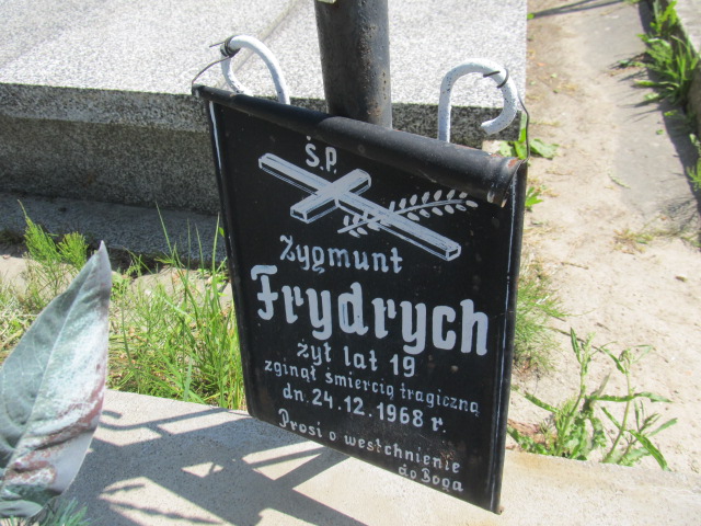 Zygmunt Frydrych Brzeziny - Grobonet - Wyszukiwarka osób pochowanych